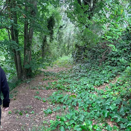 Hébergement de vacances Le Bois De Cardiccia *