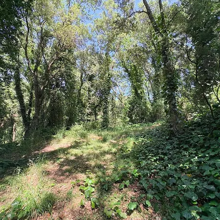 Le Bois De Cardiccia Hébergement de vacances Prunelli-di-Fiumorbo